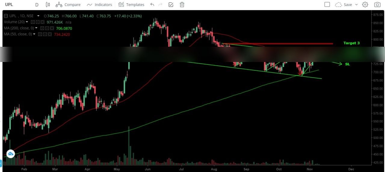 Chart 8